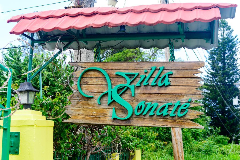 Villa Sonate Runaway Bay Eksteriør billede